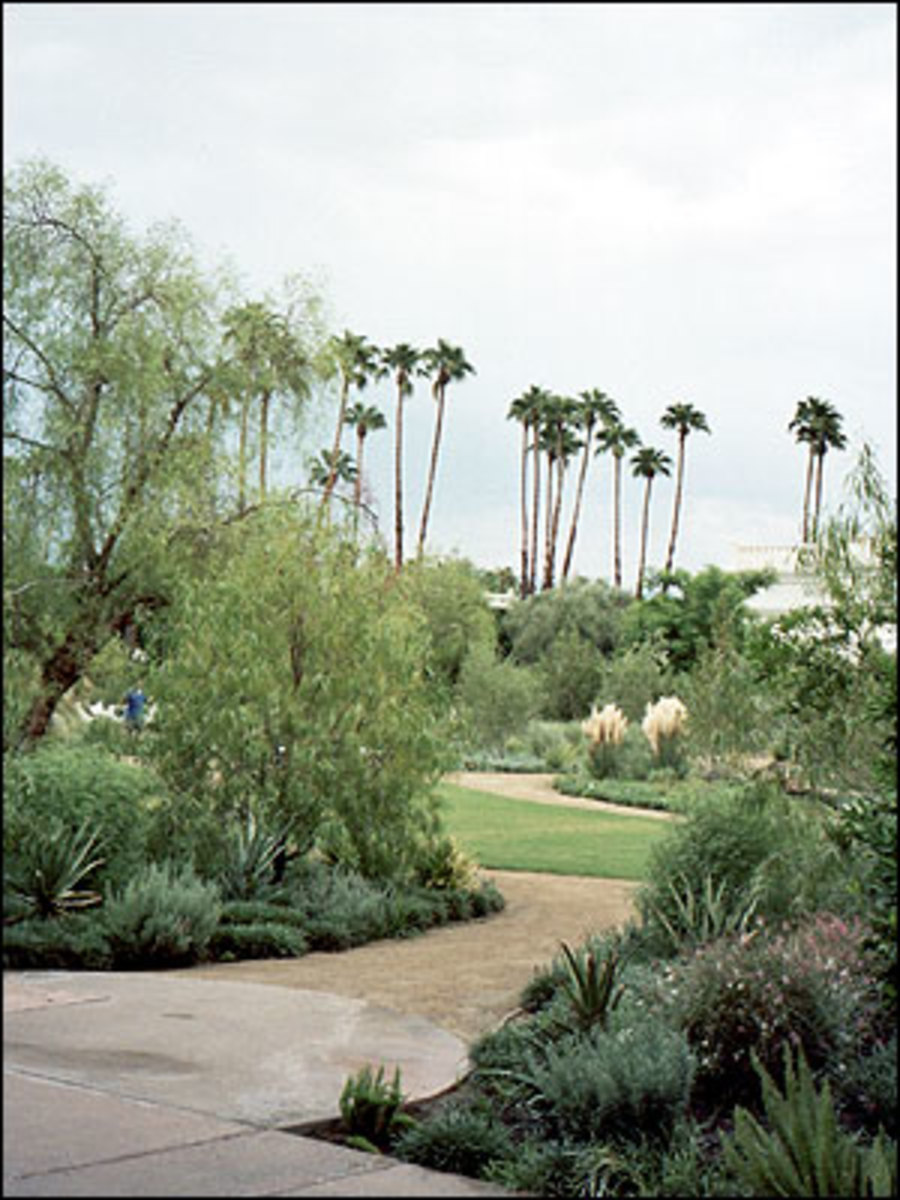 06_palmsprings_06.jpg